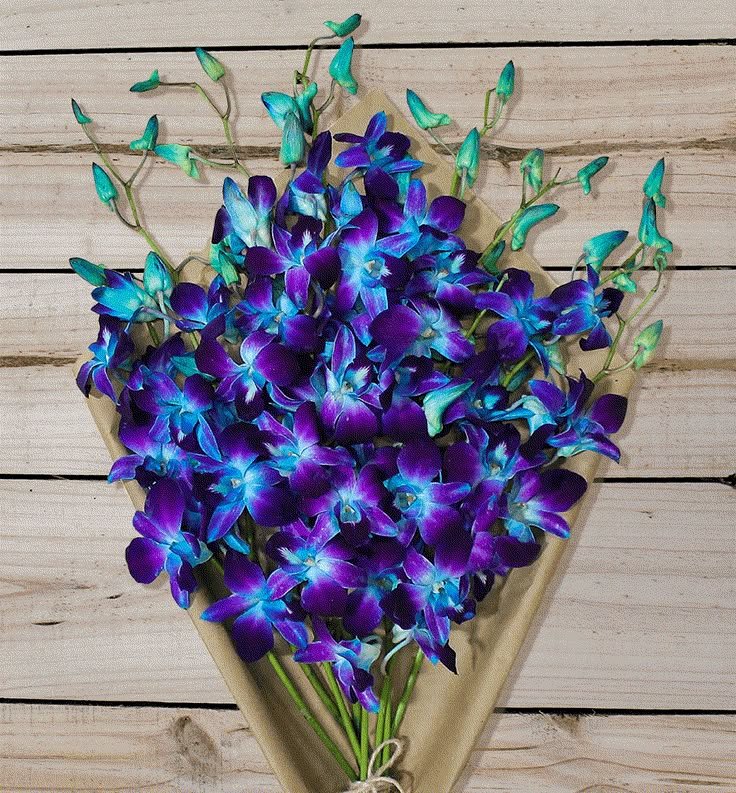 Exotic fresh blue and purple orchid flower bouquets in Ahmedabad